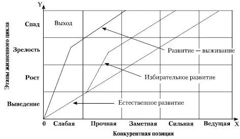 Рис 423Матрица модели ADLLC Каждая клетка матрицы характеризует бизнес с - фото 27