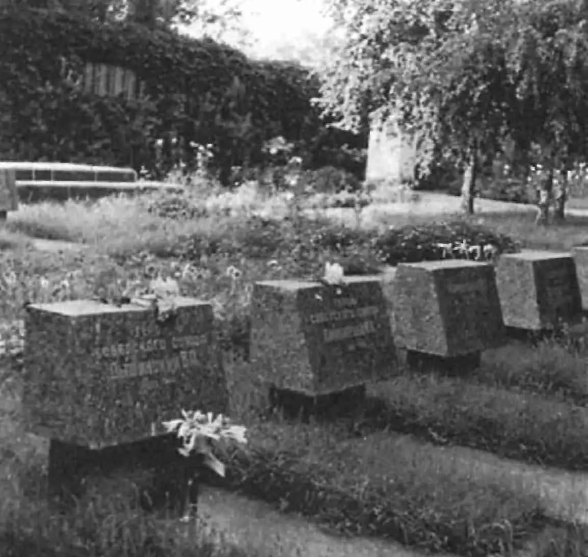 Могила В А Дышинского на мемориальном кладбище в г Кривой Рог У могилы В - фото 22