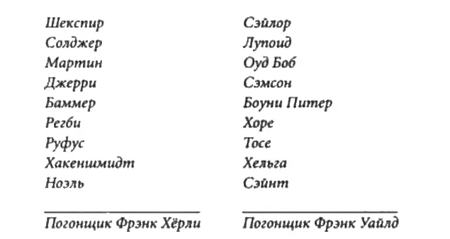 Две упряжки восемнадцать собак и два погонщика борются за первое место Мы - фото 1