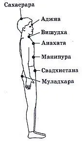 Чакры представляют собой некие ворота расположенные на коконе человека - фото 1