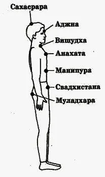 Рис 1 Проекция системы чакр на тело человека 1е занятие ПРАКТИКА ОГНЕННЫХ - фото 1