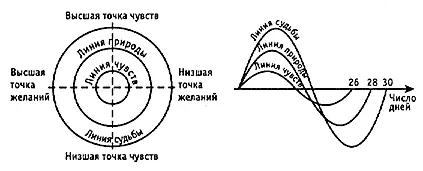 Линия природы отражает желания разум и жизненные силы человека Старение - фото 24