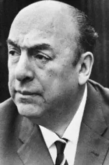 Коллекция морских раковин Пабло Неруды вернулась в Чили после путешествия по - фото 6