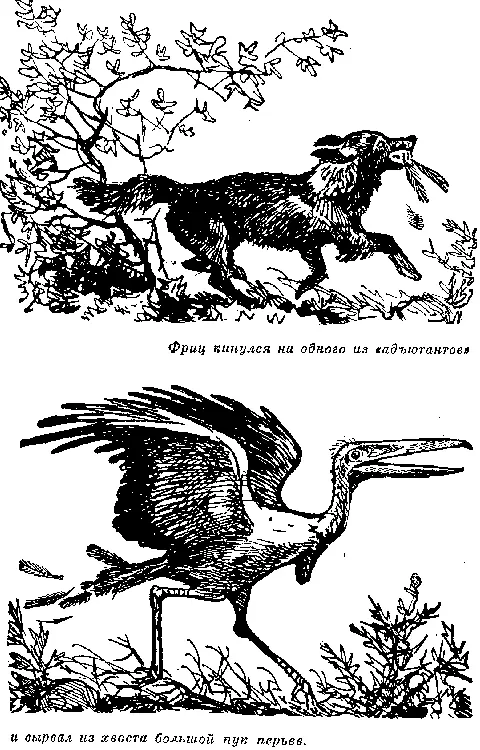 Глава LIX АИСТЫ ПОЙМАНЫ Наши искатели приключений с разочарованием и досадой - фото 33