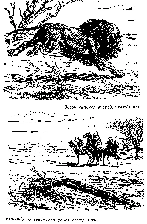 Глава X ЛЕВ В ЗАПАДНЕ Странно было конечно что лев ищет убежища в столь - фото 9