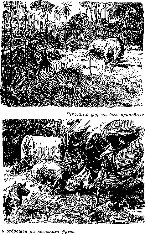 Но верные гончие отвлекли в эту критическую минуту носорогов от фургонов и - фото 36