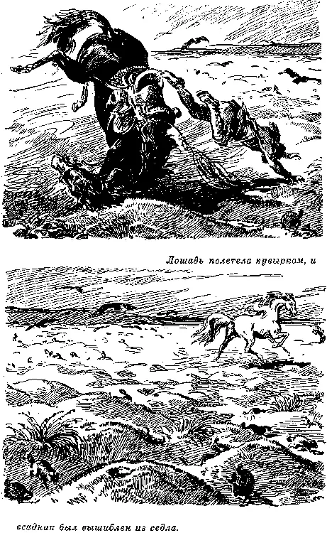 Когда охотник поднялся на ноги мустанг был на расстоянии около четверти мили и - фото 48