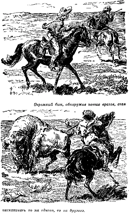 Убедившись в этом наши охотники соскочили с лошадей вытащили охотничьи ножи и - фото 52