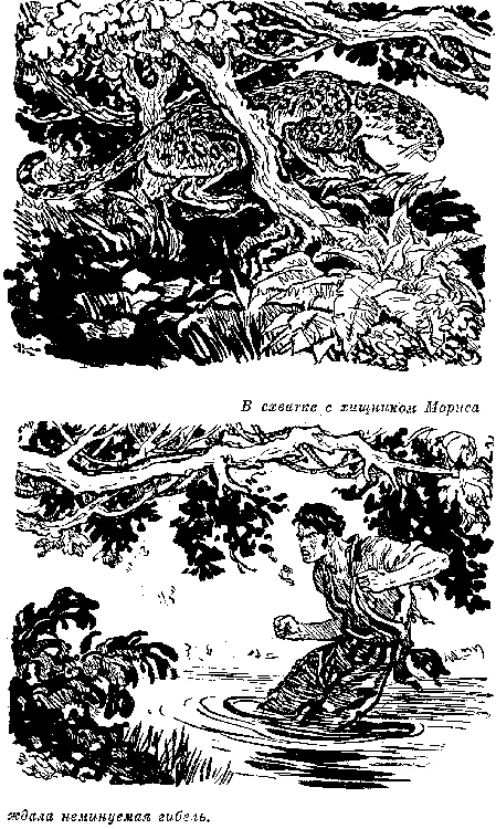 Дикий крик вырвался у несчастного когда он увидел что пятнистый зверь взвился - фото 38