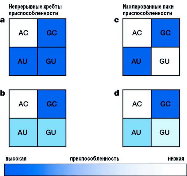 Рис 1 Переключение между УотсонКриковскими парами AU и GC может происходить - фото 5