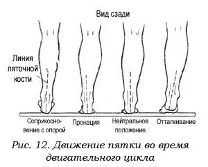 Поскольку во время двигательного цикла бегуна основная нагрузка приходится на - фото 13