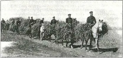 Доставка фуража Маньчжурия 1905 г Для действий же против ПортАртура - фото 40