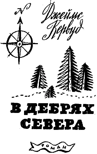 Глава I Неподалеку от сурового северного берега озера Верхнего где вечно - фото 25