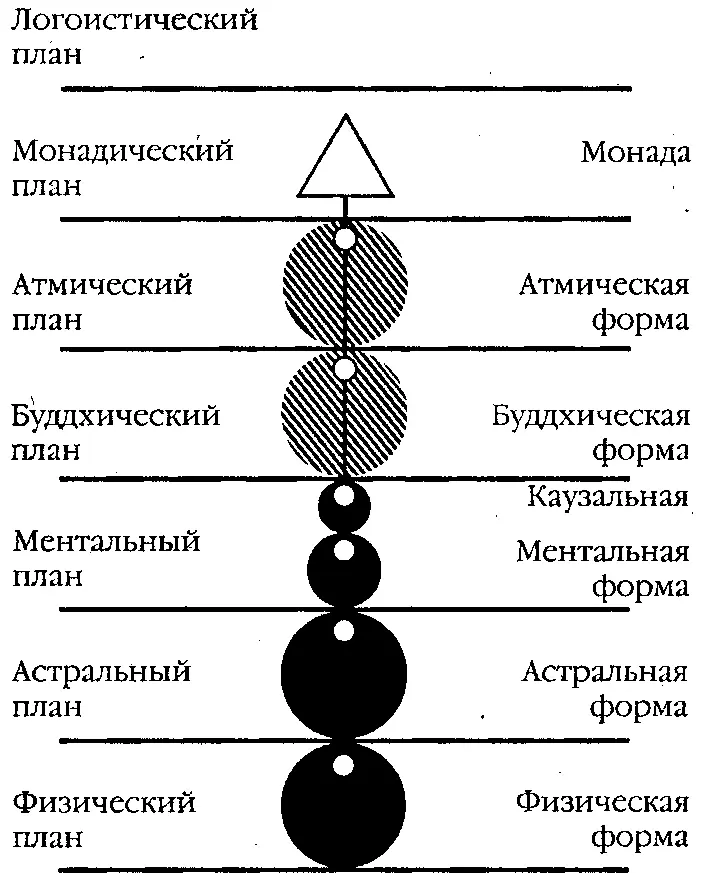 Эти формы весьма различны по условиям жизни поэтому и сами монады - фото 7