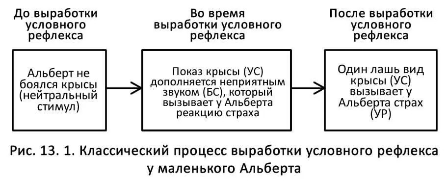 Через пять дней маленький Альберт вновь оказался в комнате для экспериментов - фото 4
