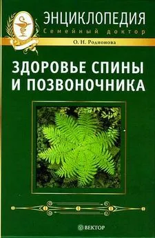 Ольга Родионова - Здоровье спины и позвоночника. Энциклопедия