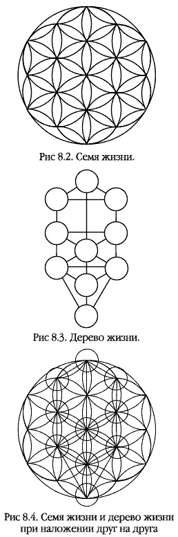 Аспект семени создает центральный круг и шесть периферических кругов рис - фото 9