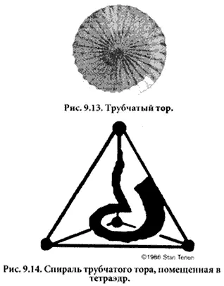 Стэн Тенен посвятив двадцать лет исследованиям сумел проследить форму - фото 14