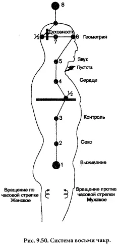 Друнвало утверждает что чакры существуют и вне нашего тела Та чакра которая - фото 32