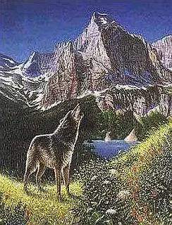 Иллюзия Клинтона и Моники Что Вы здесь видите Женское лицо или - фото 73