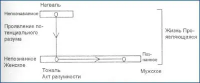 Рисунок 9 Дифференцированное сознание Полярность Это различие в сфере тоналя - фото 10