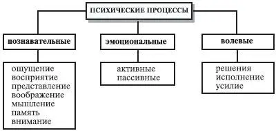 Рис 5Классификация психических процессов Познавательные психические процессы - фото 8