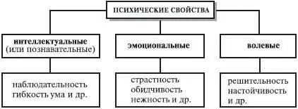 Рис 7Классификация психических свойств 1 Познавательные психические - фото 10