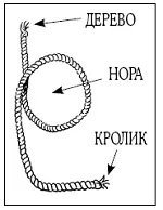 2Пропусти кролика через нору как показано на рисунке 3Проведи кролика за - фото 10