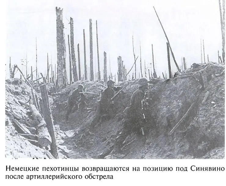 По обе стороны блокадного кольца - фото 6