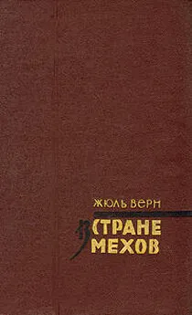 Жюль Верн - В стране мехов