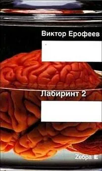 Виктор Ерофеев - Лабиринт Два: Остается одно: Произвол