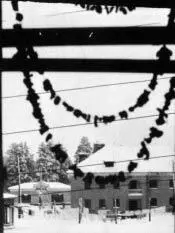 Сушеные грибы распространяли по комнате прекрасные запахи 1956 г Никольский - фото 109