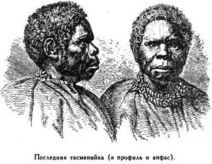 челюсти не хватало бы резцов и зубы у всех были очень хорошие Здешние жители - фото 84