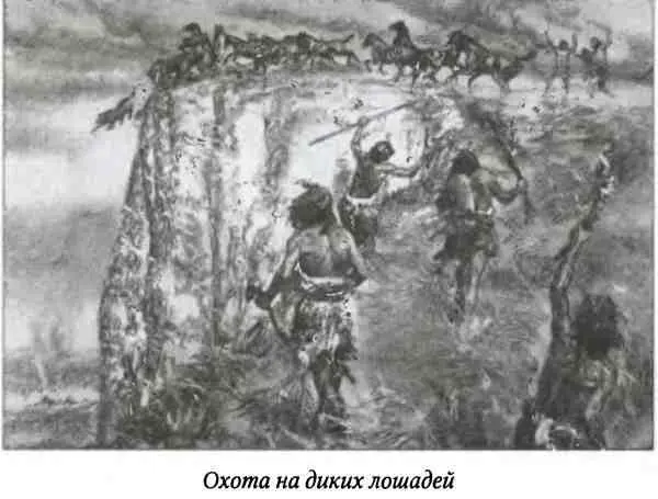 Приблизительно так же проходила охота и на мамонтов Однако не следует думать - фото 9