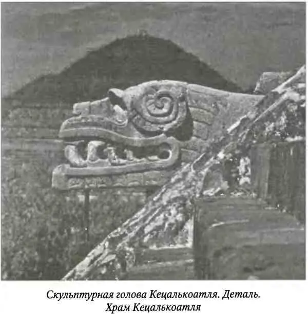 В 1939 году мексиканский исследователь А Касо частично раскопал большой - фото 49