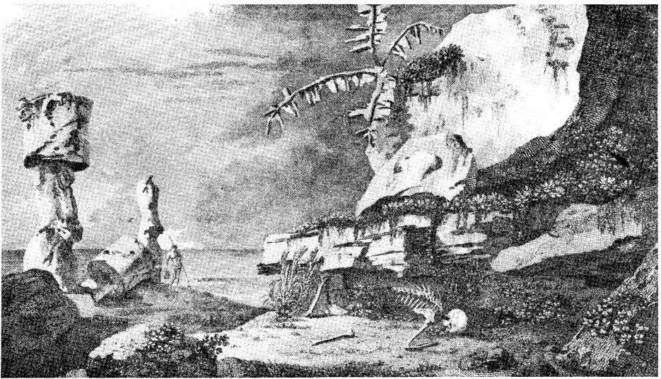 Путешествие вокруг света - фото 30