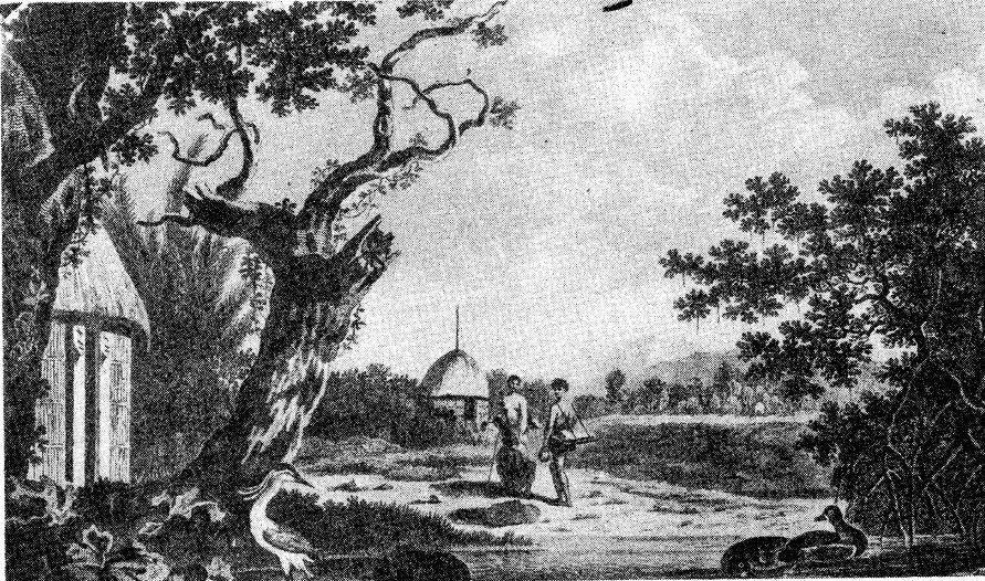 Путешествие вокруг света - фото 38