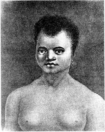 Вид на ове Пен Куние ОГНЕННАЯ ЗЕМЛЯ Огнеземелец Пингвины С рис Г - фото 39