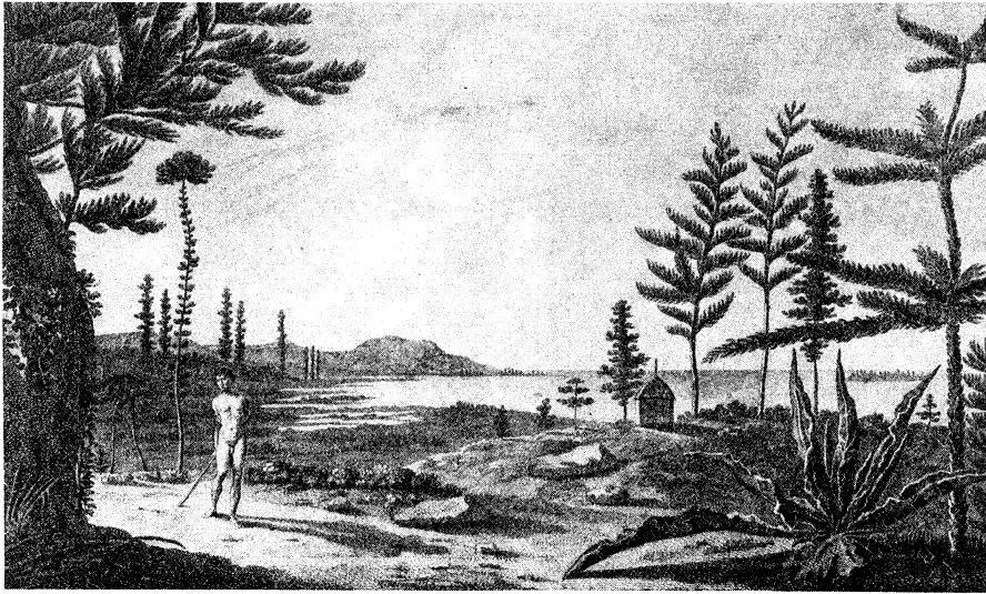 Путешествие вокруг света - фото 40