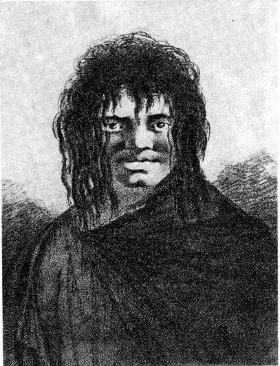 Пингвины С рис Г Форстера Примечания составил Д Д Тумаркин 1 В - фото 41