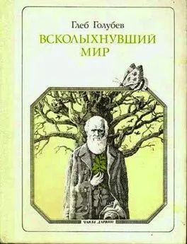 Глеб Голубев - Всколыхнувший мир