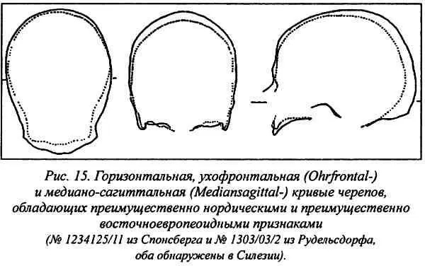 Но могут ли теперь эти средние величины считаться средними значениями расовых - фото 44