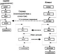 Рис 23Последовательность действий клиента и сервера при использовании TCP - фото 20