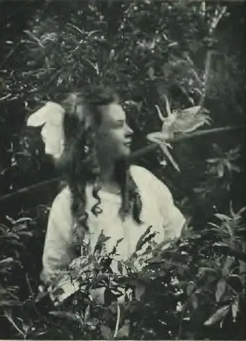 С ФРЕНСИС И ПРЫГАЮШАЯ ФЕЯ Фотография сделана Элси в августе 1920 г Камера - фото 10