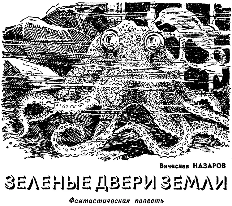 Люди изучали дельфинов в дельфинарии а дельфины Первый кто осмелился - фото 16