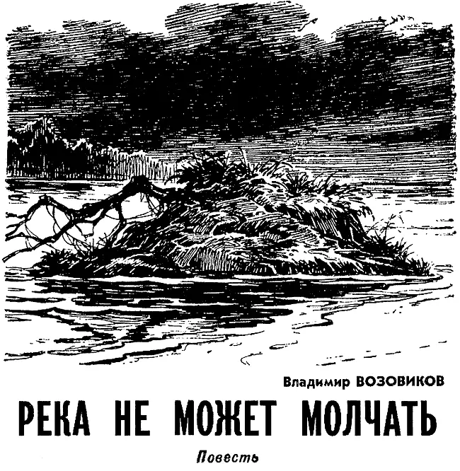 На черном плесе реки гулко ударил сом вскрикнула спросонья птица в прибрежном - фото 3