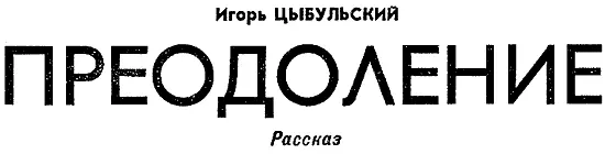 I Мазнув желтым светом фар по нависшей над дорогой скале машина выползла на - фото 15