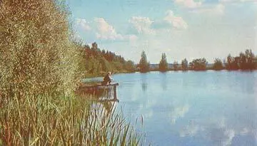 Глава VI РЫБЫ ПРЕСНЫХ ВОДОЕМОВ И ИХ ЛОВЛЯ Советский Союз по количеству пресных - фото 101