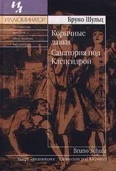 Бруно Шульц - Коричные лавки. Санатория под клепсидрой