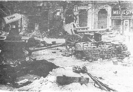 Брошенное венгерскими войсками 105миллиметровое орудие Улица Юллё - фото 81